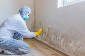 Trusted Columbia, MD Mold Removal Services Experts